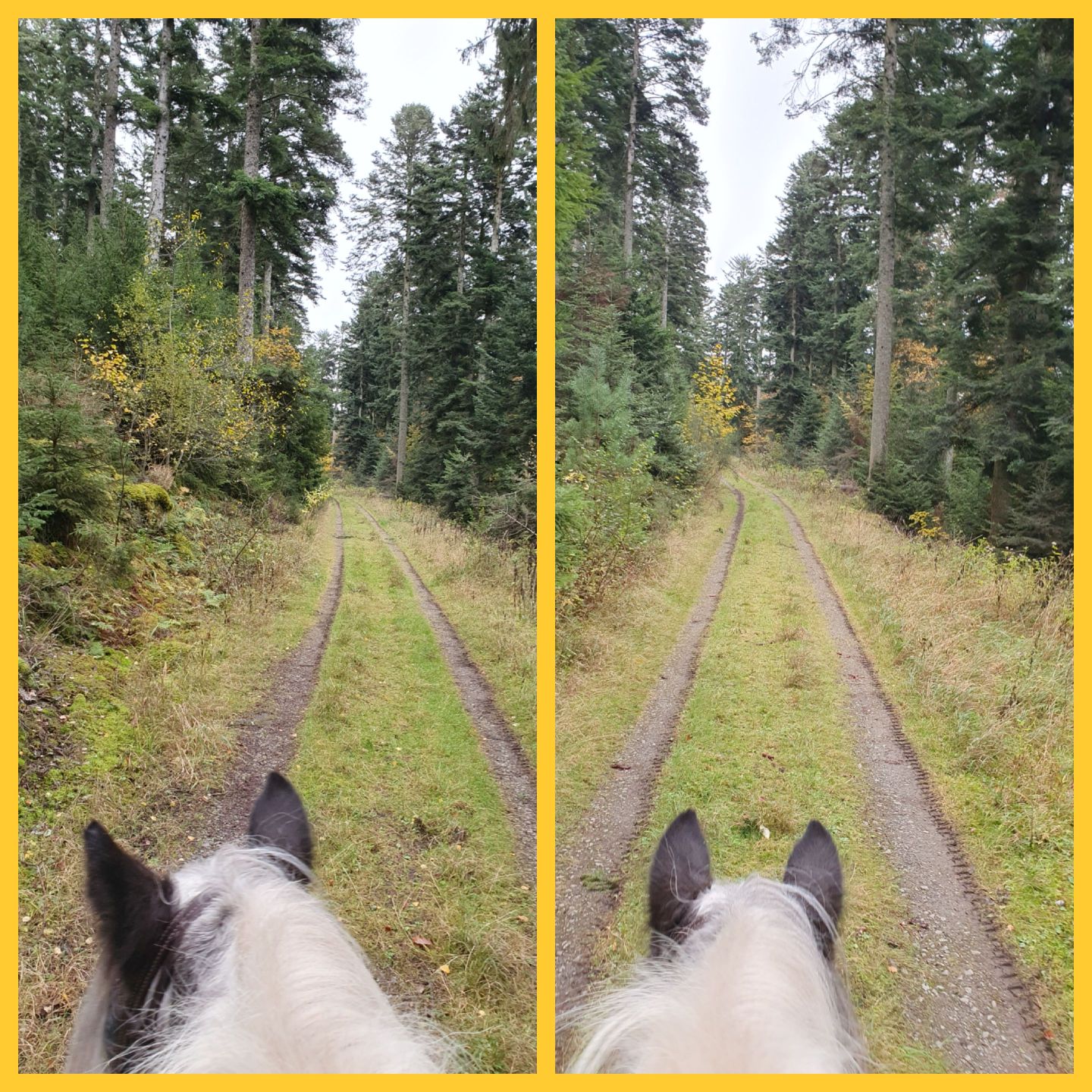 2023 11 November 589